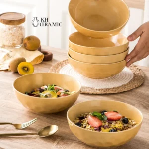 Ceramic Salad Bowl Set (colorful)